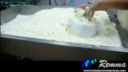 elaboracion queso artesano oveja